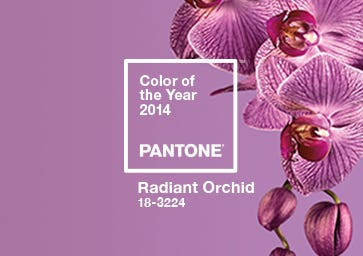 Tím orchid – màu chủ đạo năm 2014 – Pantone 18-3224
